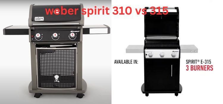 weber spirit 310 vs 315